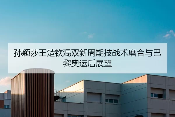 孙颖莎王楚钦混双新周期技战术磨合与巴黎奥运后展望